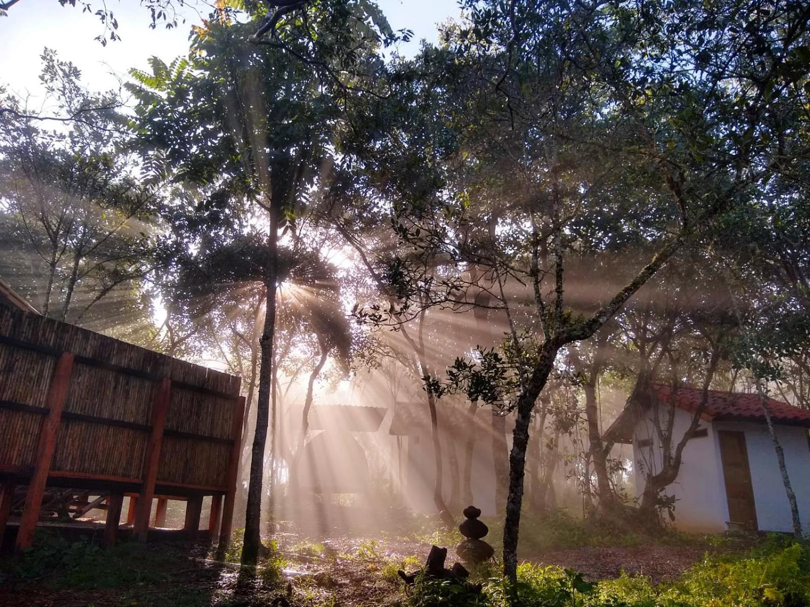 Hotel Carigua باريكارا المظهر الخارجي الصورة